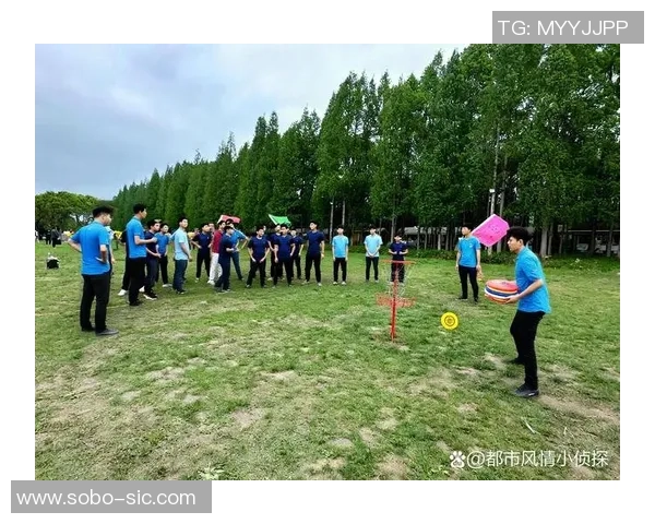 飞盘盛宴揭秘杭州飞盘队实力与魅力的全景探索